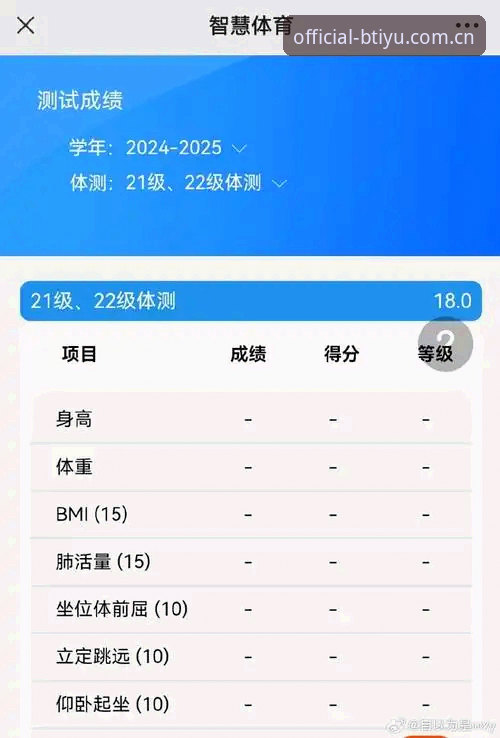 B体育平台深度评测：BTIYU正版入口如何重塑移动端娱乐体验？
